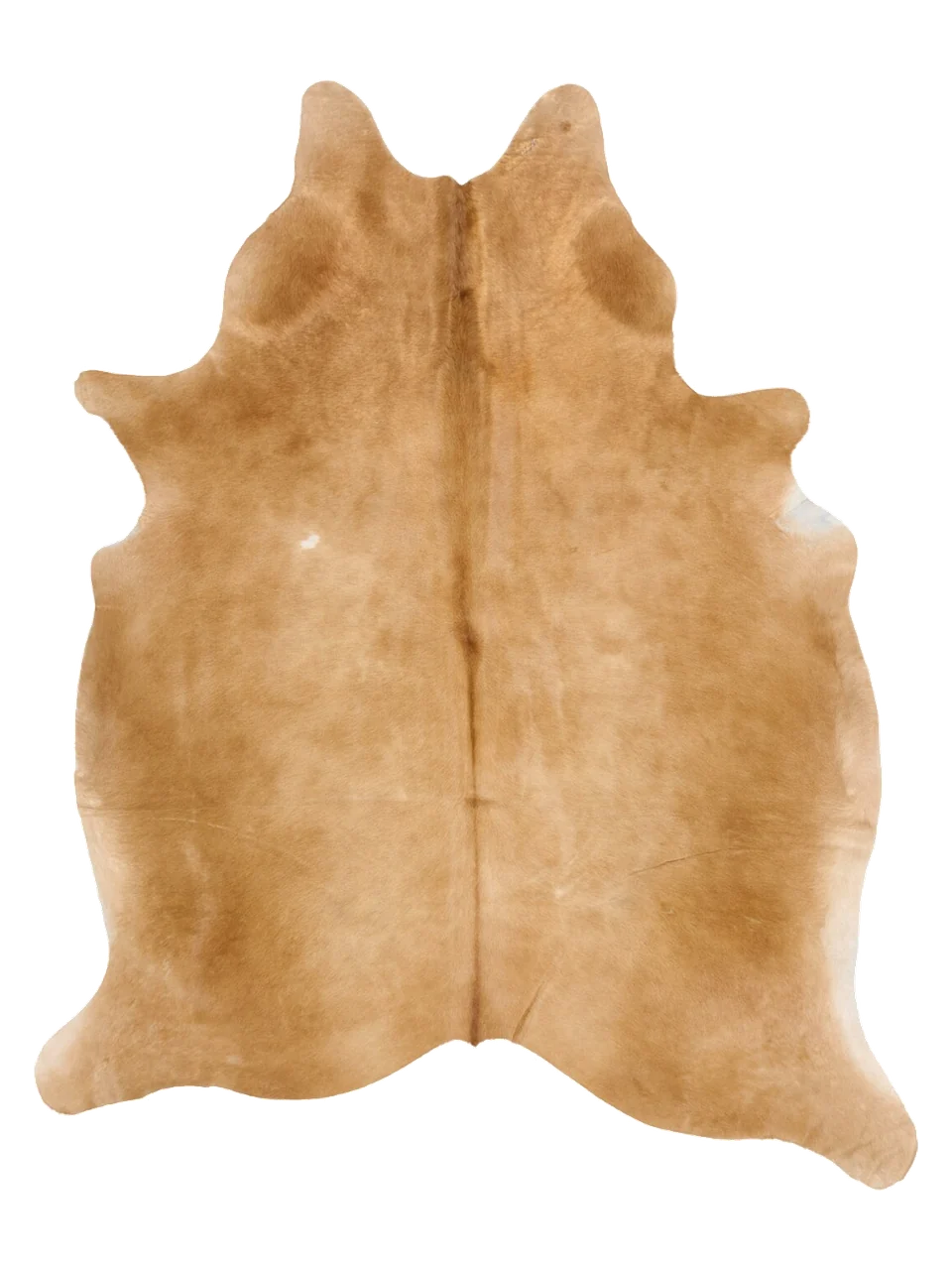 K794