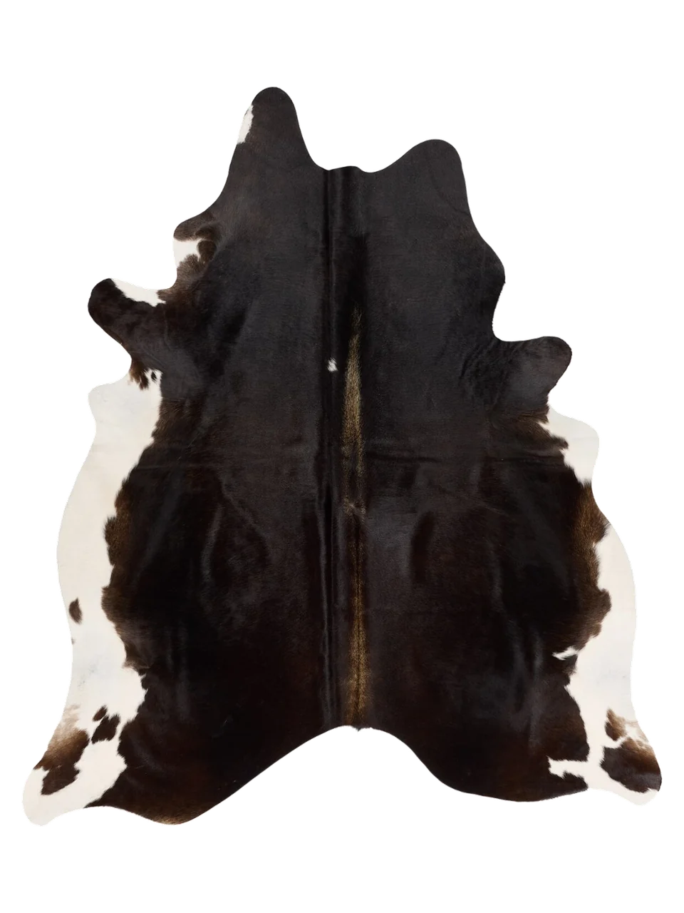 K881