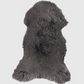 Schapenvacht | Grijs | 100 x 65cm