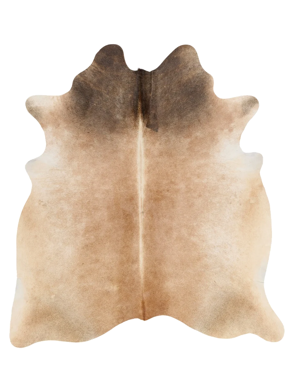 K779