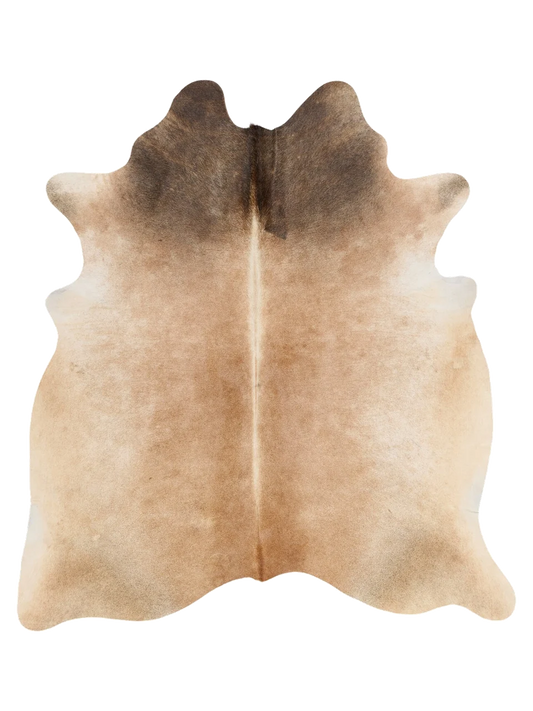 K779