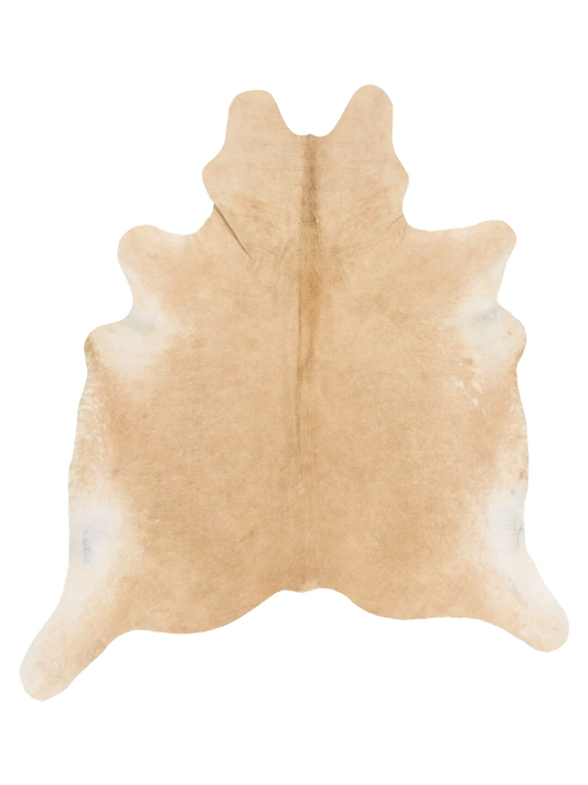 K797