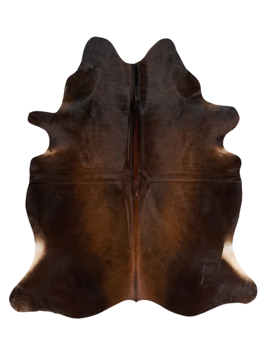 K798