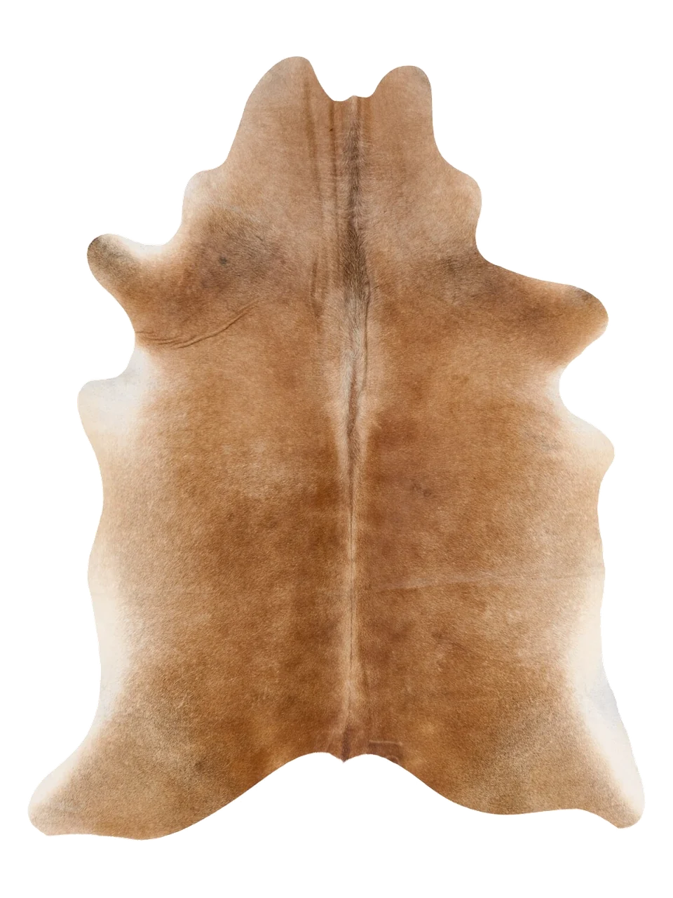 K814