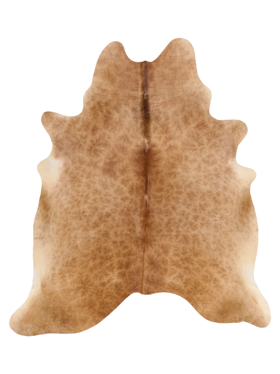 K818