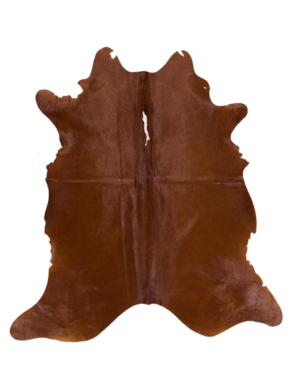 K869