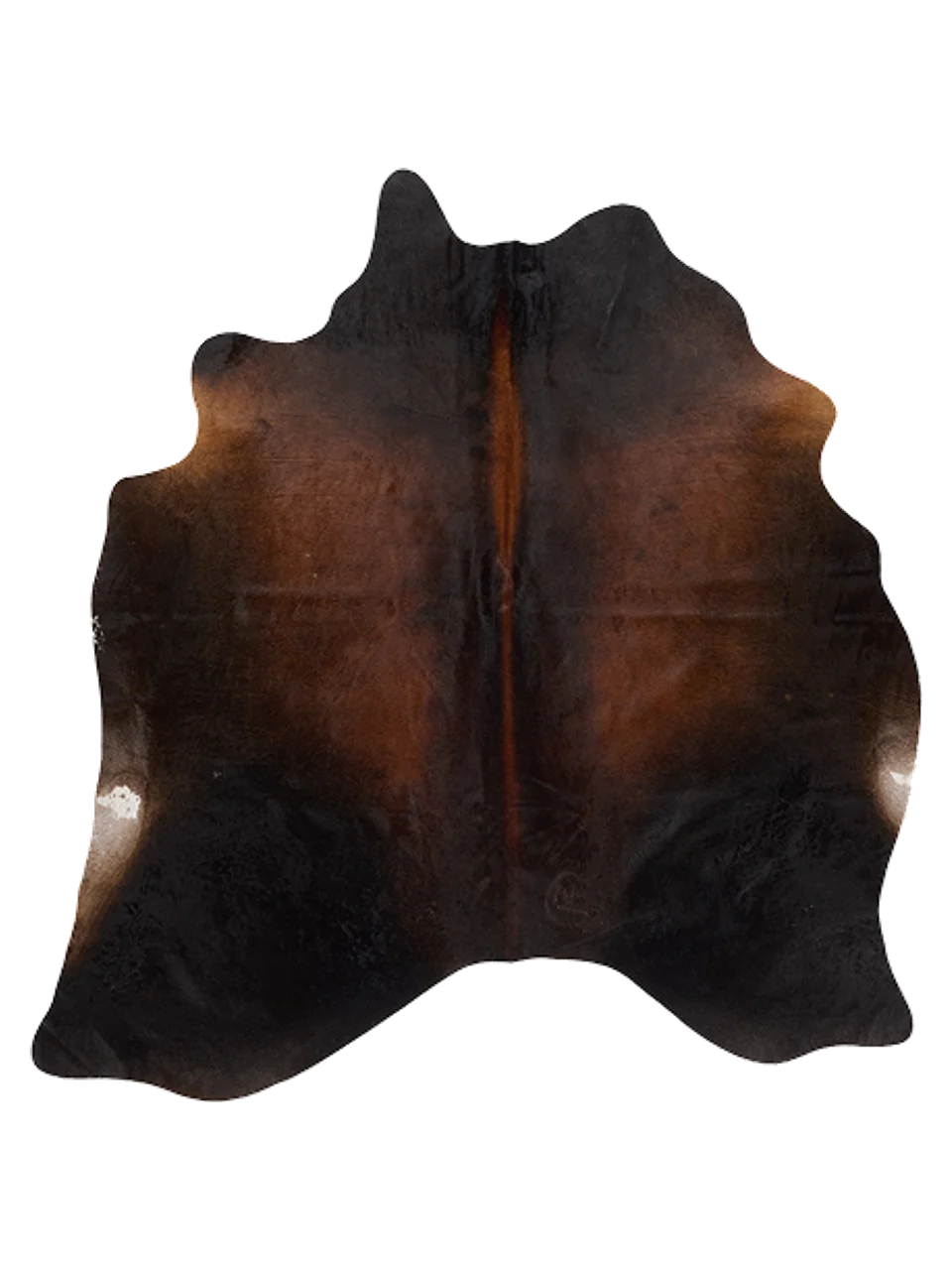 K876