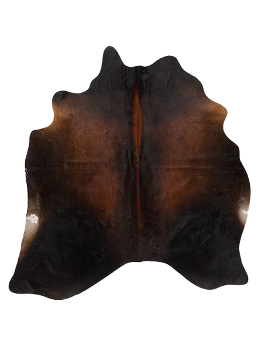 K876