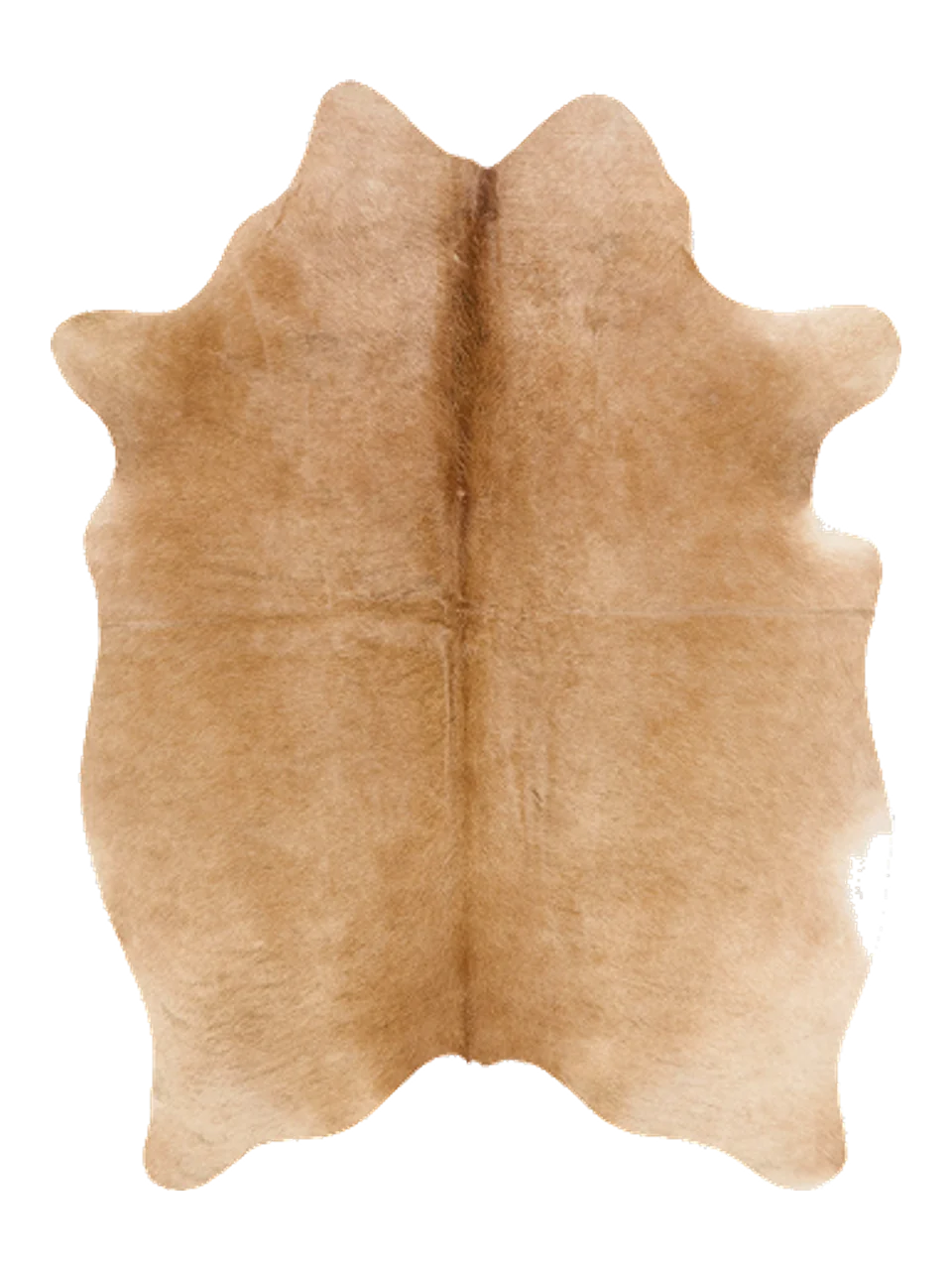 K890