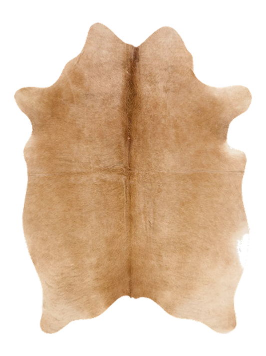 K890