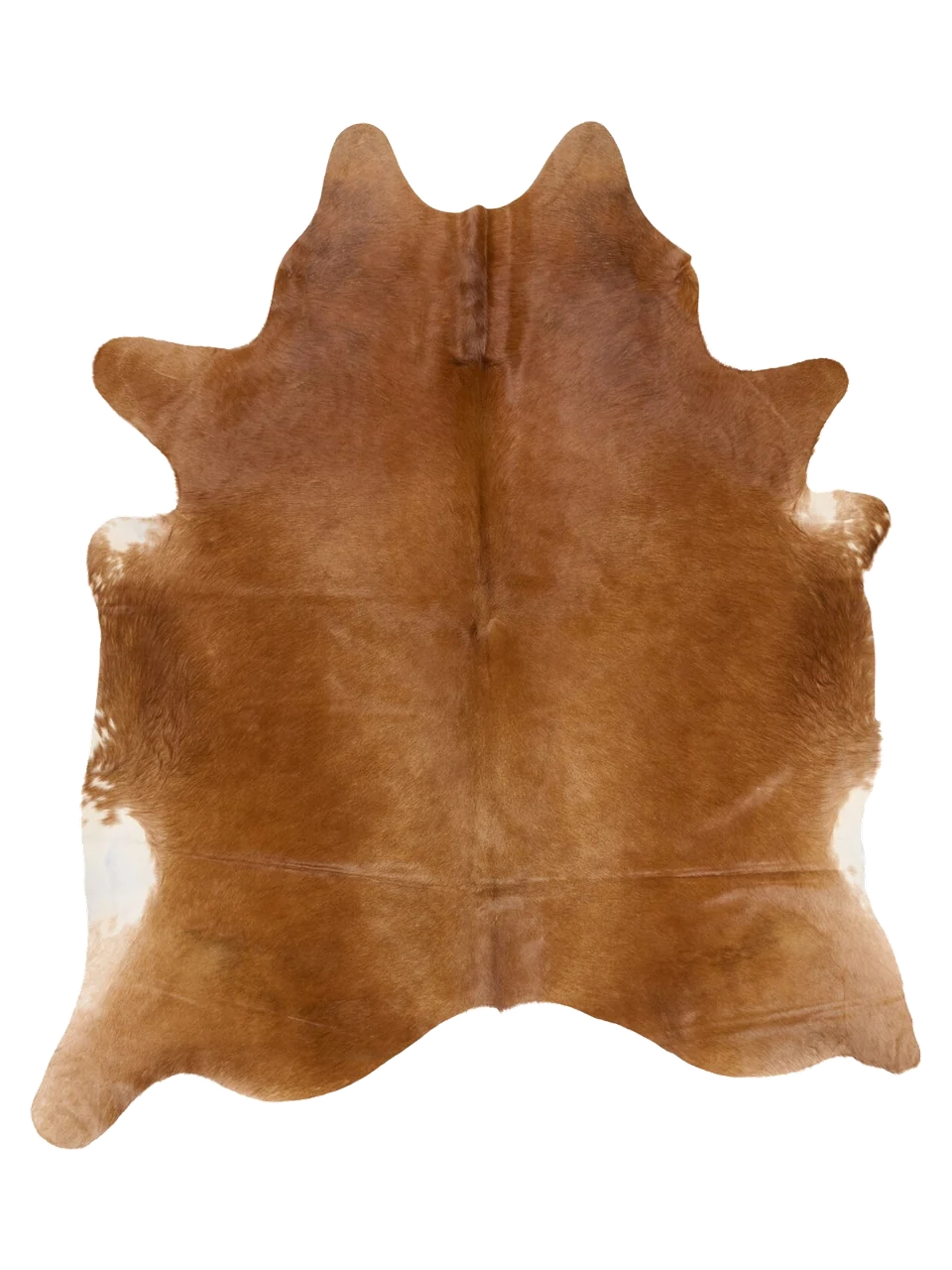 KXL748