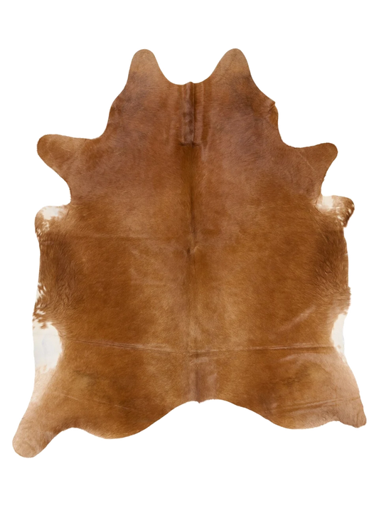 KXL748