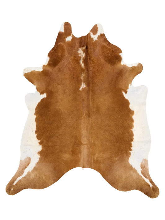 KXL759