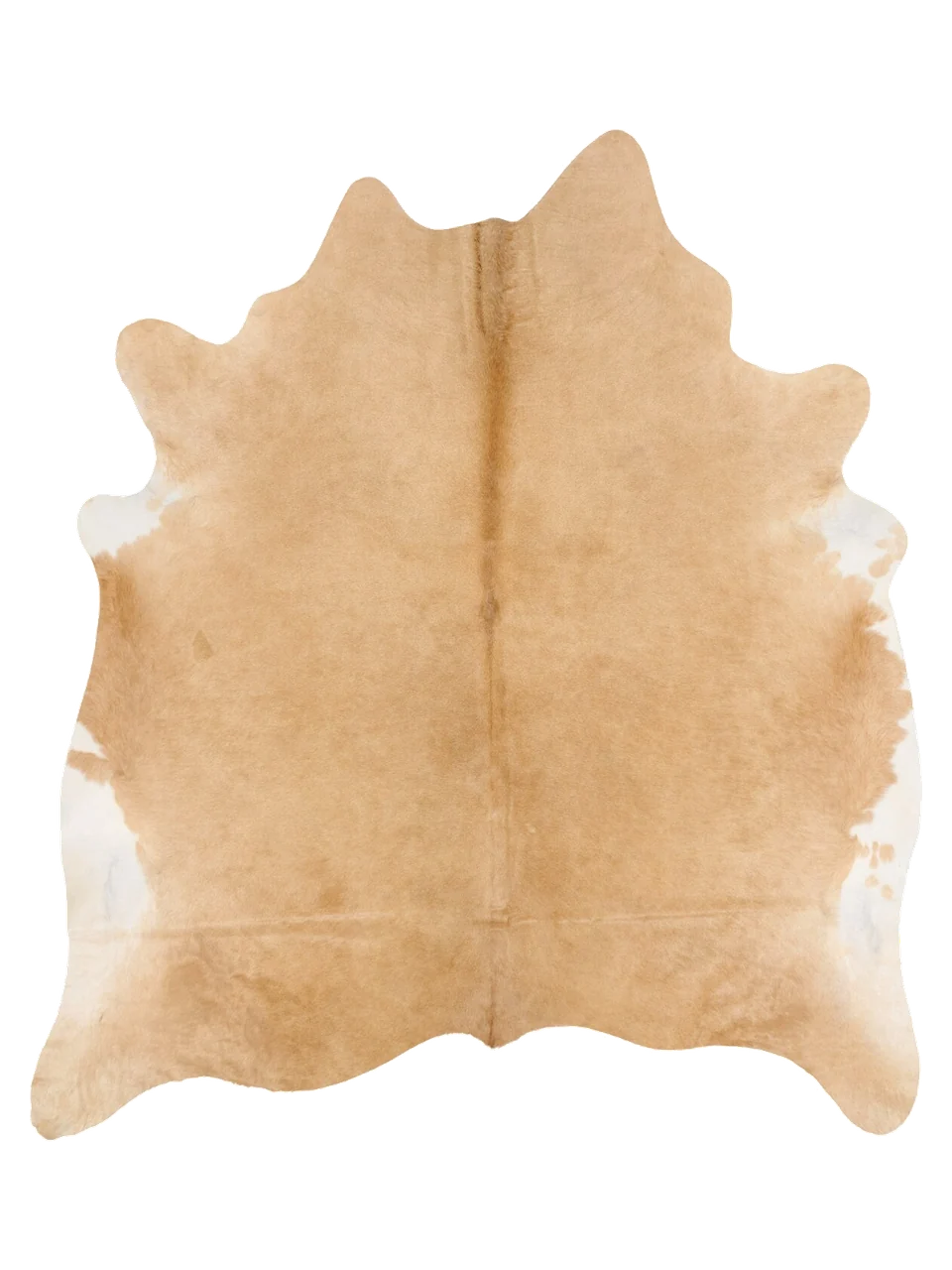 KXL767