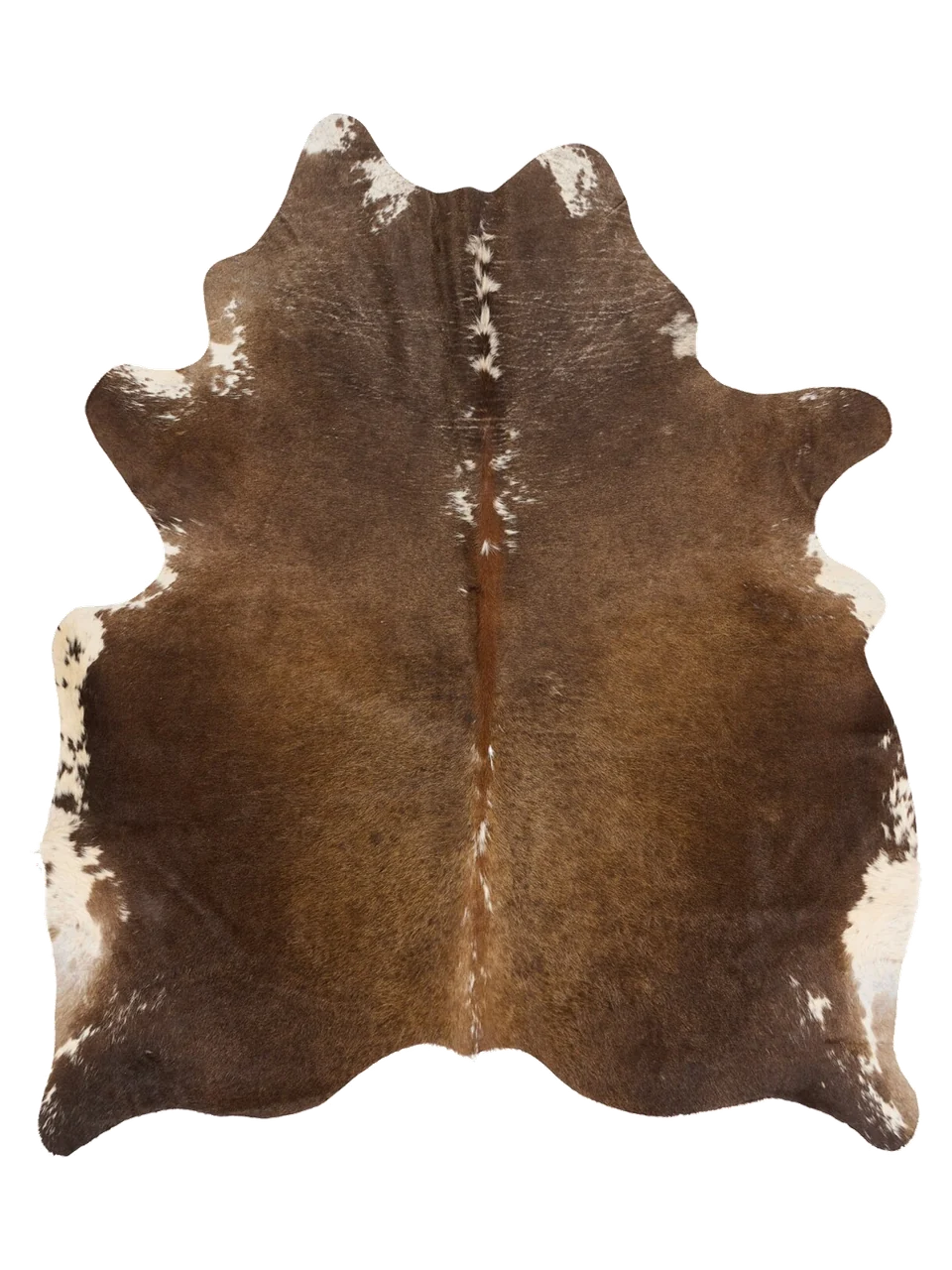 KXL783