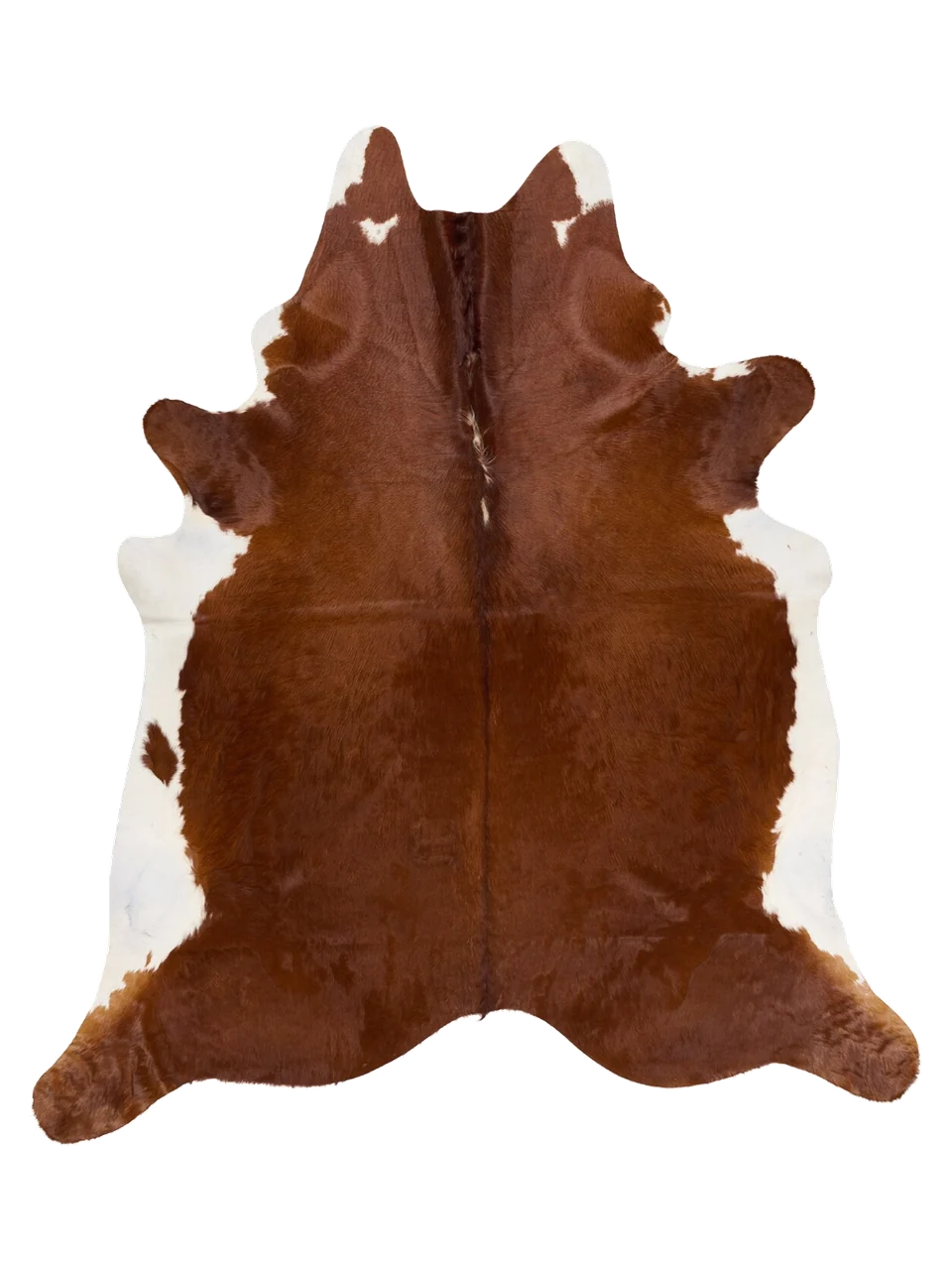 KXL816