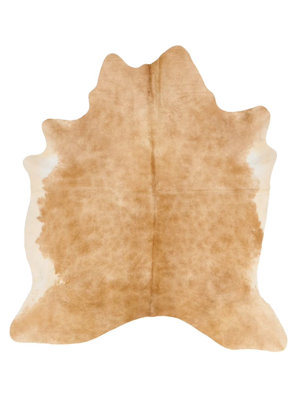 KXL828