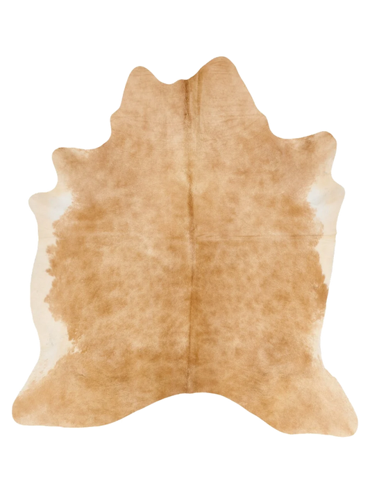 KXL828