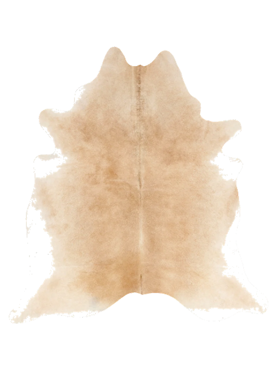 KXL836