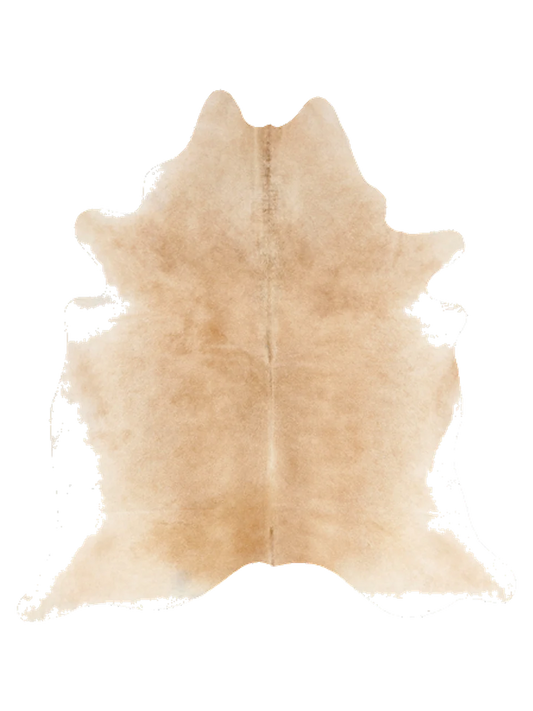 KXL836
