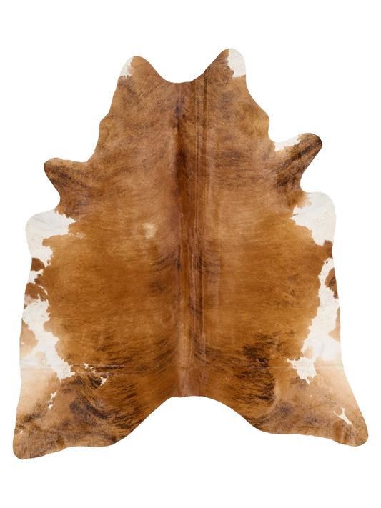KXL856