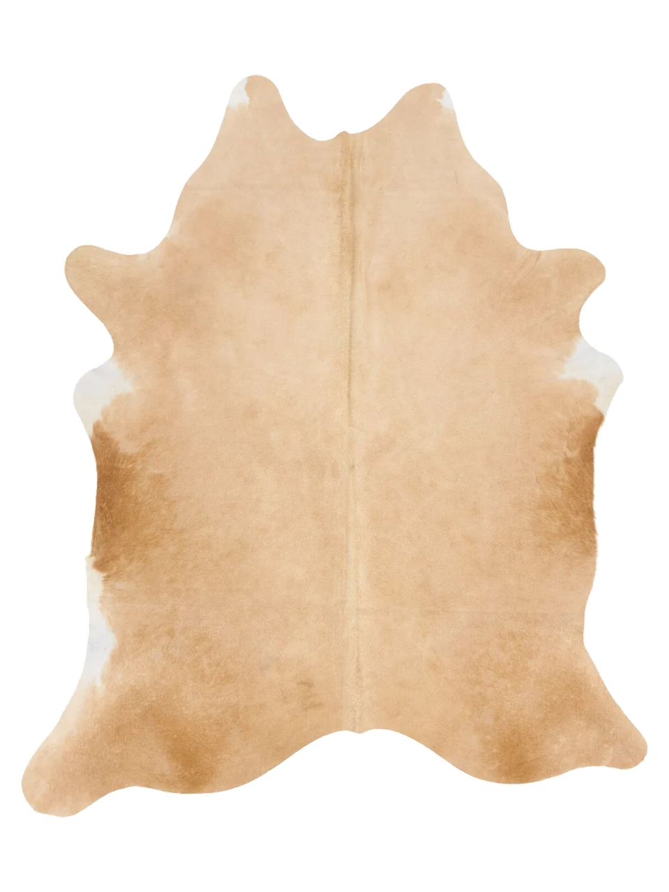 KXL868