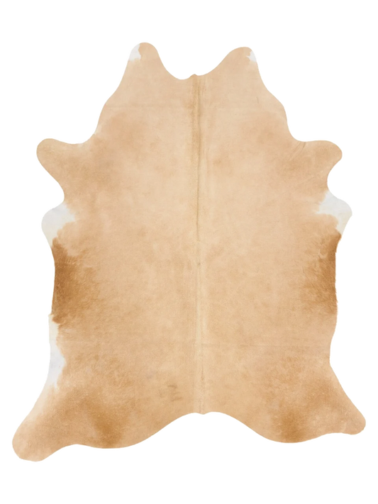 KXL868