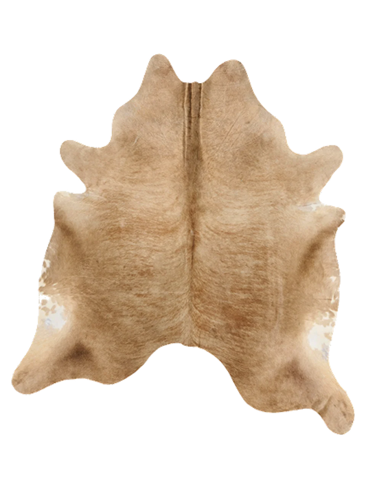 KXL886