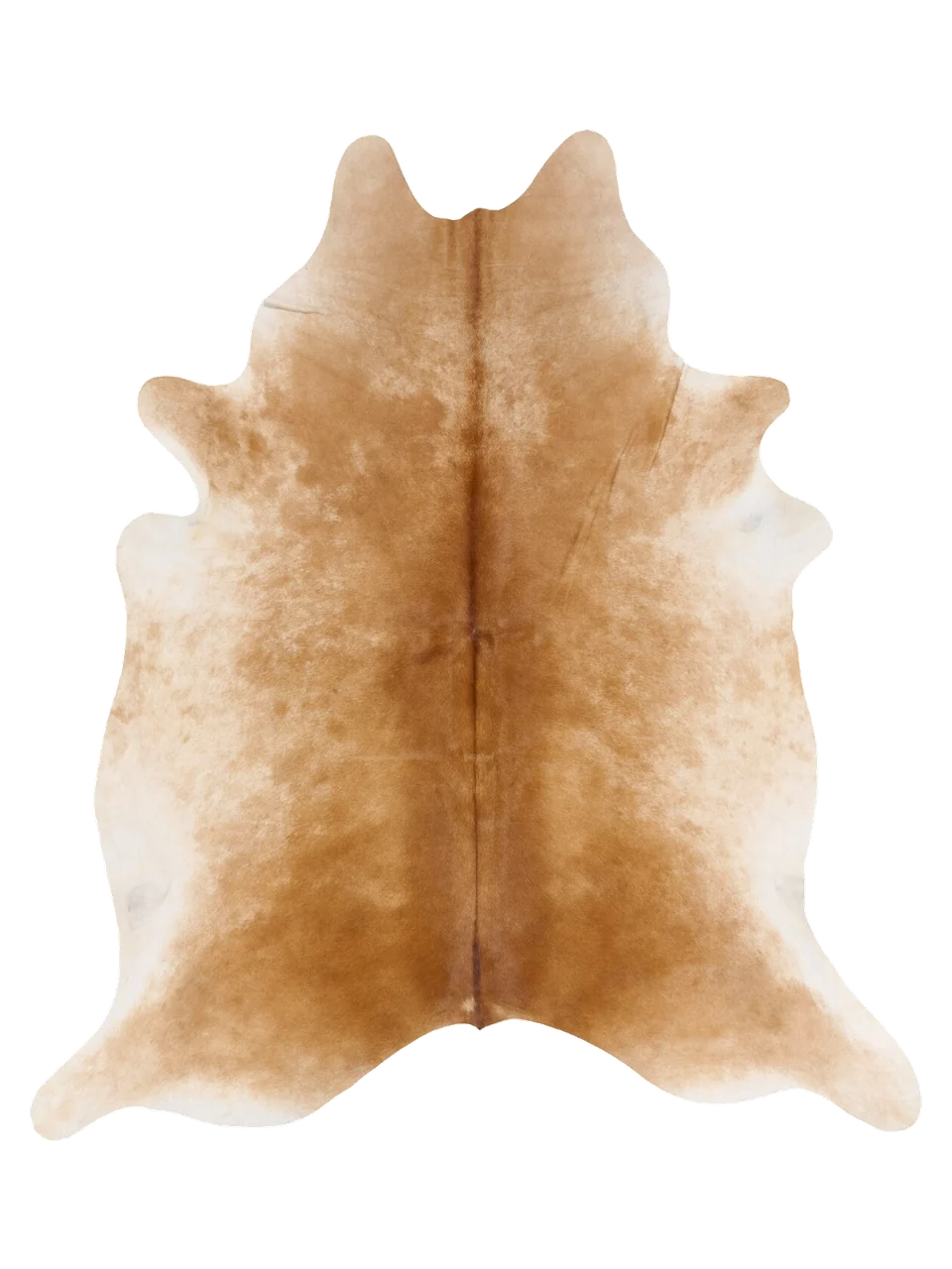 KXL894