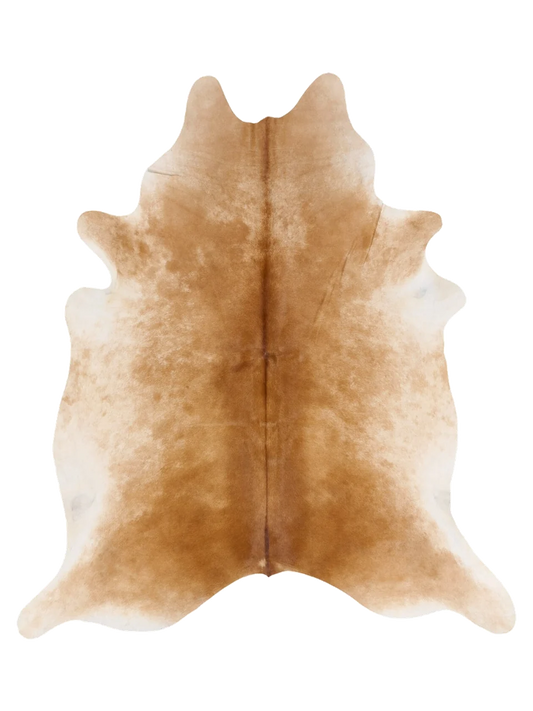 KXL894