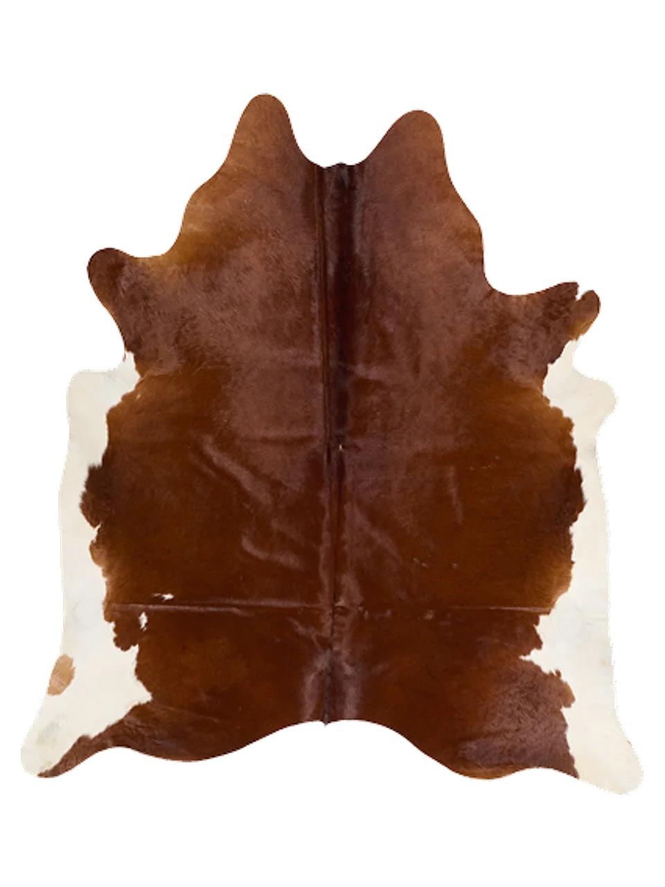 KXL895