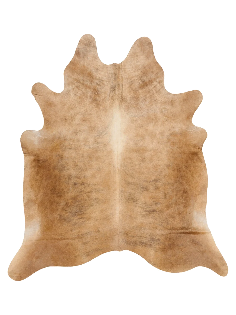 KXL898