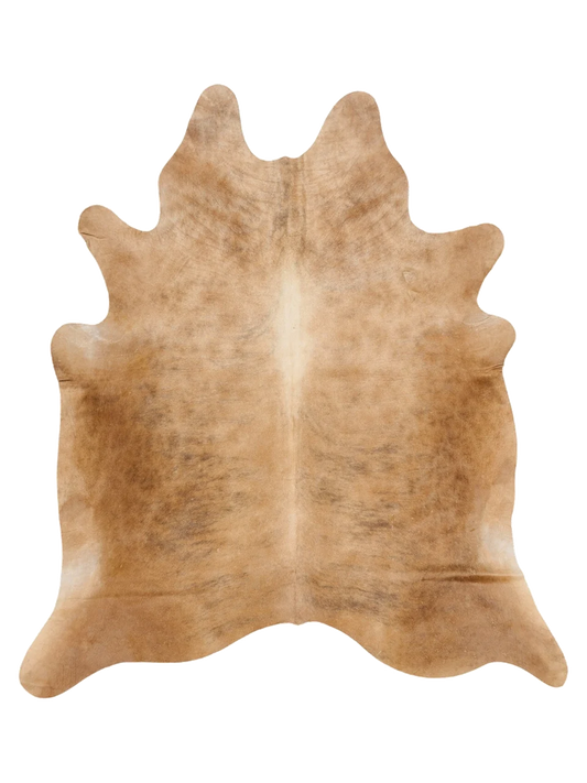 KXL898
