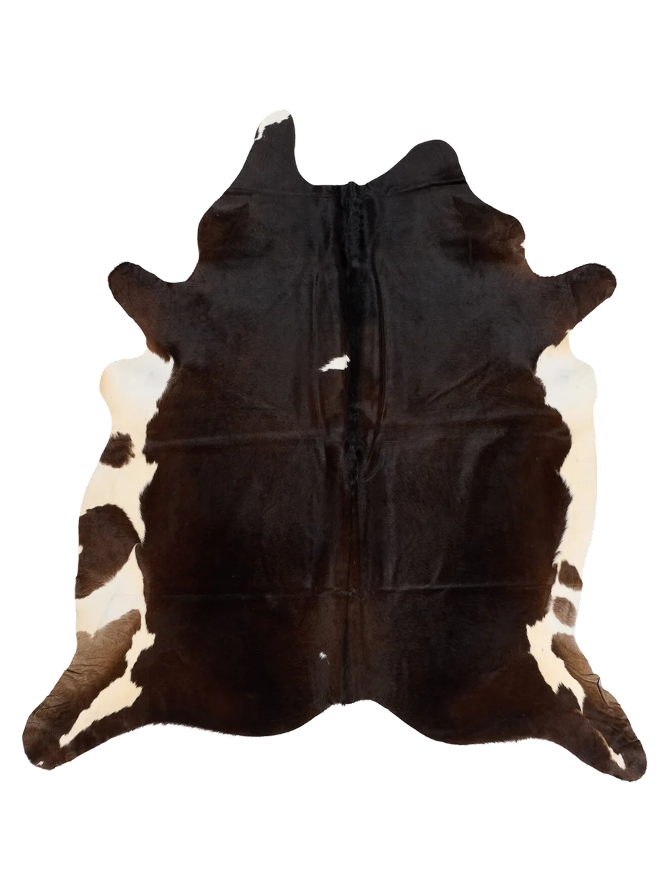 PKXL856