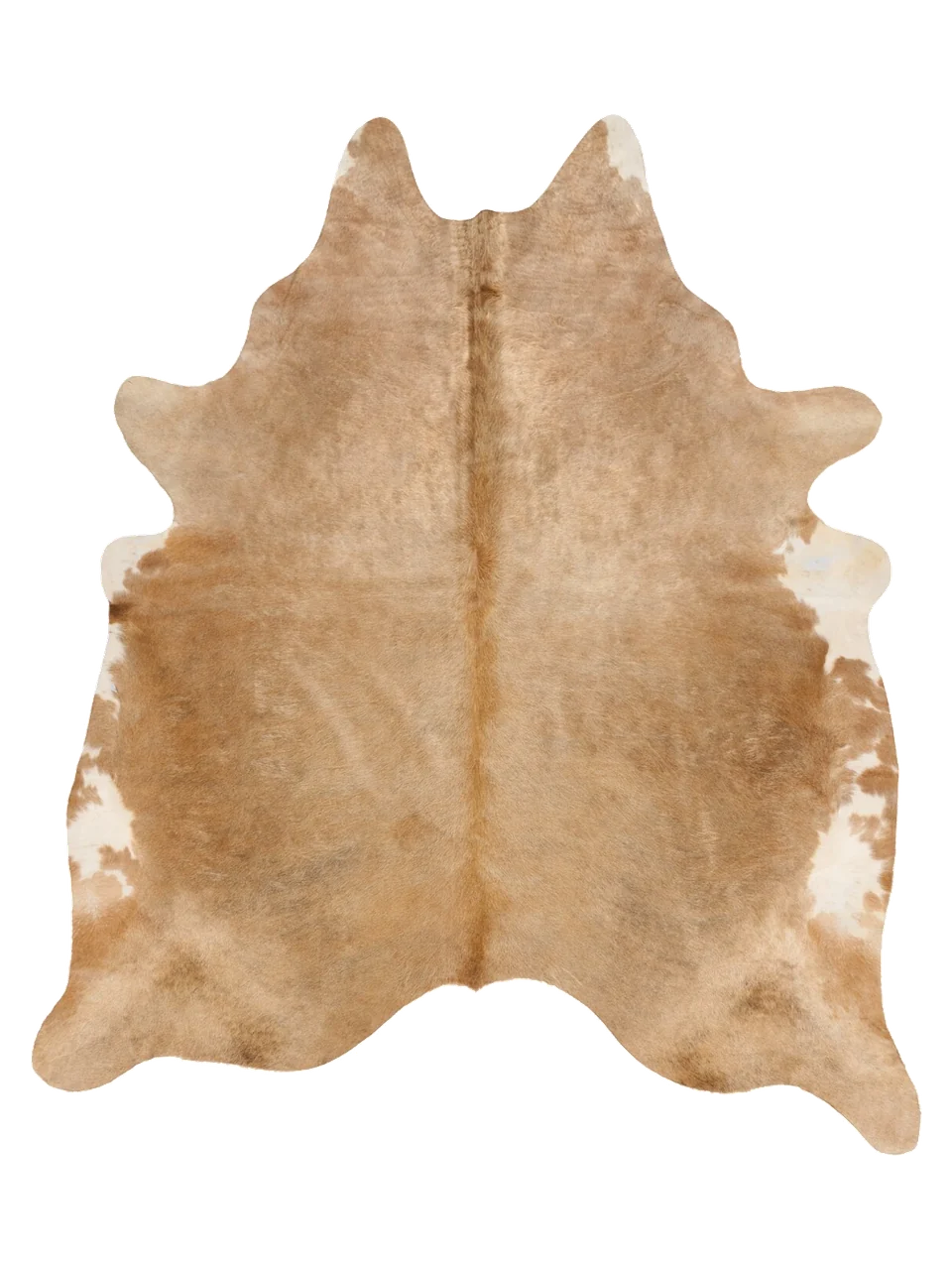 PKXL862