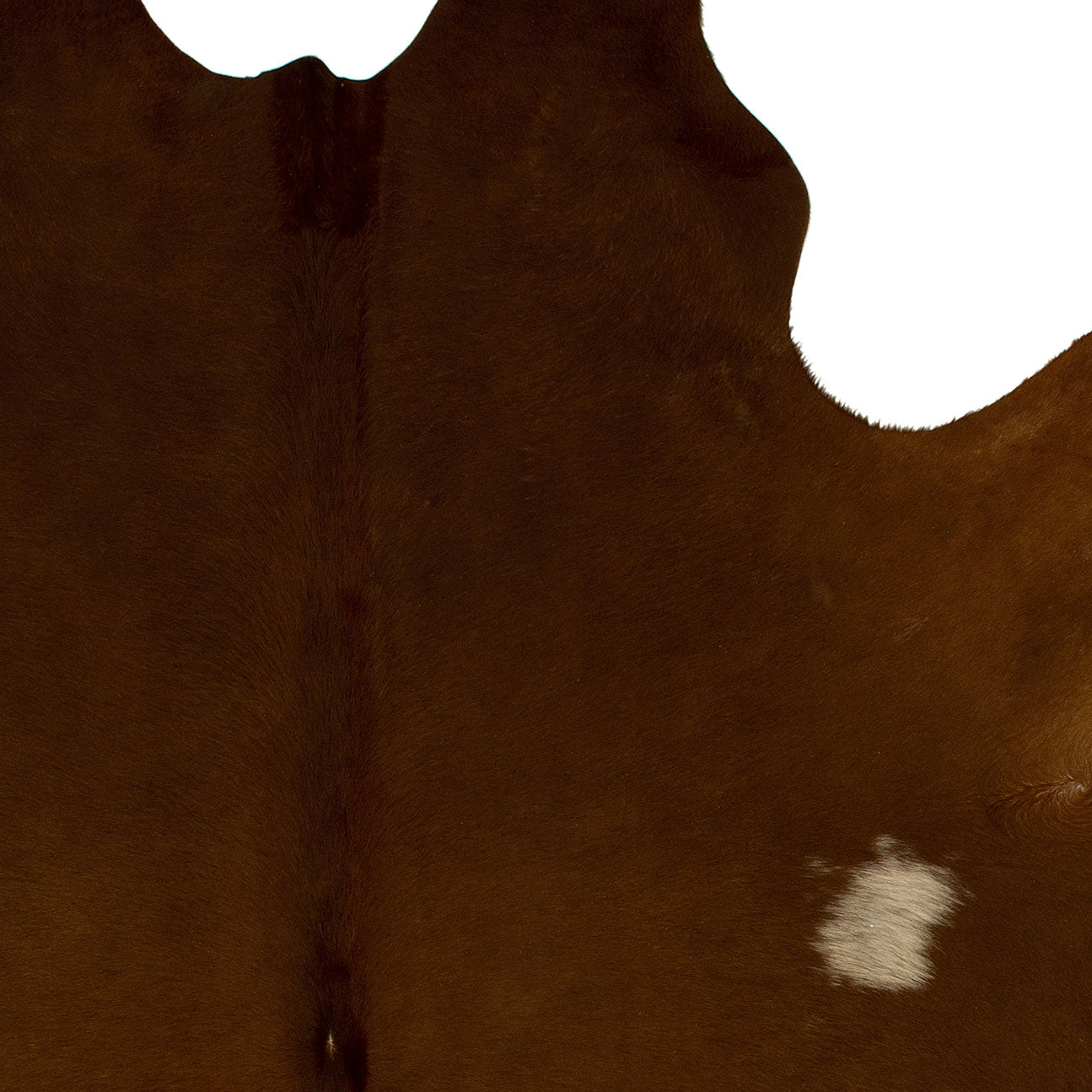 K166 | Unieke Koeienhuid | bruin, donkerbruin & beige  | ca. 180 x 160cm